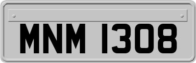 MNM1308