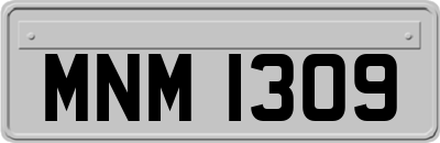 MNM1309