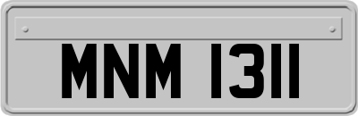 MNM1311