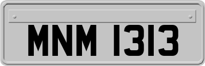 MNM1313