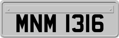 MNM1316