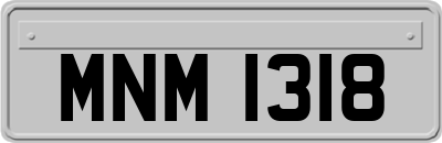 MNM1318