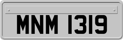 MNM1319