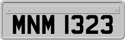 MNM1323