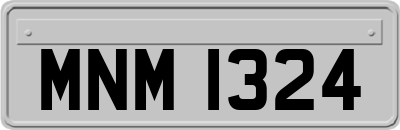 MNM1324