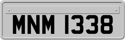 MNM1338