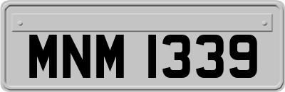 MNM1339