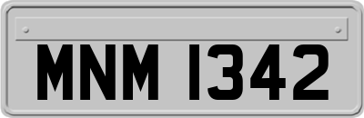 MNM1342