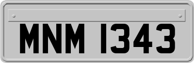 MNM1343