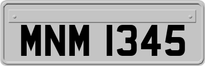 MNM1345