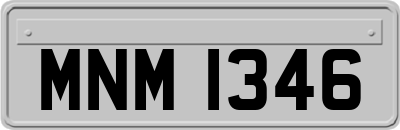 MNM1346