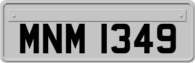 MNM1349