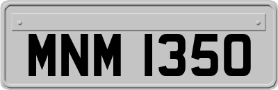 MNM1350