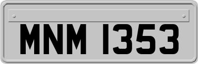 MNM1353