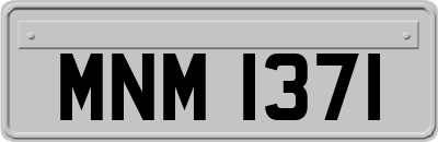 MNM1371