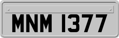 MNM1377