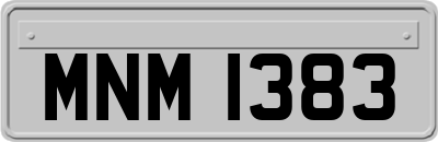 MNM1383