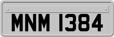 MNM1384