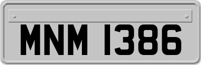 MNM1386