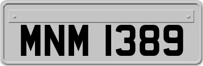 MNM1389