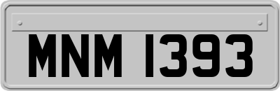 MNM1393