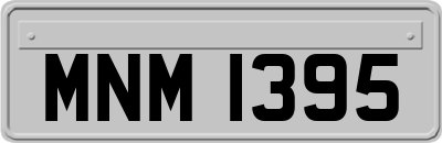 MNM1395