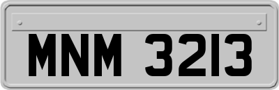 MNM3213