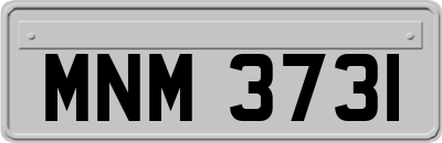 MNM3731