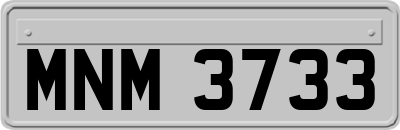 MNM3733