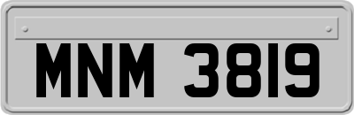 MNM3819