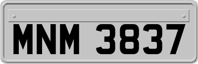 MNM3837