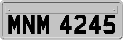 MNM4245