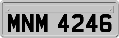 MNM4246