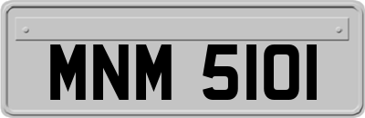 MNM5101