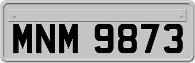 MNM9873