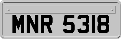 MNR5318