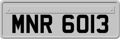 MNR6013