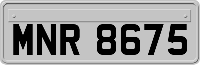 MNR8675