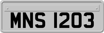 MNS1203