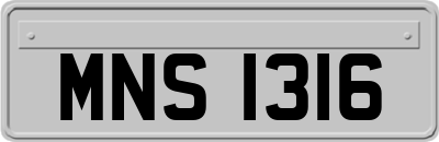 MNS1316