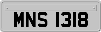 MNS1318