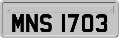 MNS1703