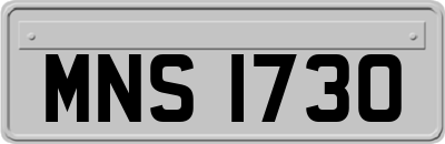 MNS1730