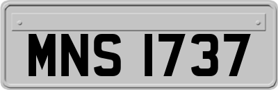 MNS1737