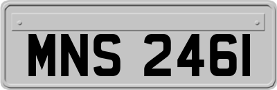 MNS2461