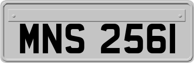 MNS2561