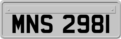 MNS2981