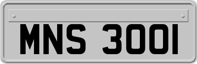 MNS3001