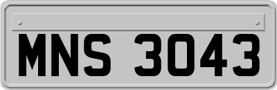 MNS3043