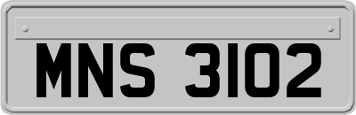 MNS3102